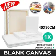Blank Painting Canvas Artist Stretched Canvases Art White Range Oil Acrylic Wood