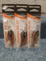 3 Bomber Excalibur Bill Dance Fat Free Shad BD5F Floating model BD5F522