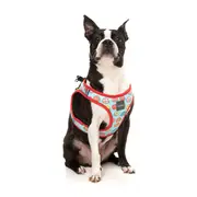 FuzzYard You Drive Me Glazy Step In Dog Harness Blue
