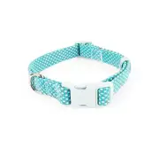 YOULY The Protector Teal Reflective Dog Collar, Small
