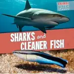 SHARKS AND CLEANER FISH