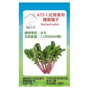 【蔬菜工坊】A73-1.紅骨葉用蘿蔔種子7.2克(約600顆)