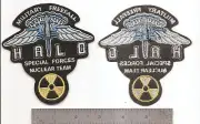 #271 US ARMY SF HALO FREEFALL NUCLEAR TEAM PATCH