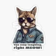 Super Troopers, you stop laughing right Meow!, Vinyl 3" Sticker