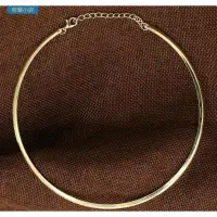 在飛比找蝦皮購物優惠-若蘭小店 歐美朋克金屬細項圈項鏈女 jewelry wome