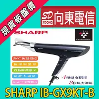 在飛比找Yahoo!奇摩拍賣優惠-【向東電信=現貨】全新夏普SHARP活髮吹風機 IB-GX9