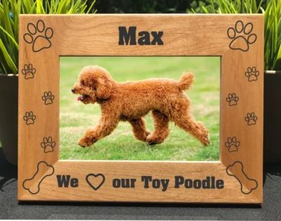 Personalized Engraved // Toy Poodle // Picture Frame