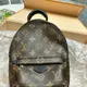 [二手] *SHIHNA名牌精品*LV M44873 Plam Spring Mini 後背包