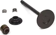 Briggs and Stratton 844787 Exhaust Valve