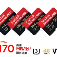 在飛比找蝦皮購物優惠-台灣公司貨 SanDisk 256G 128G 64G Ex