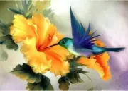ACANDYL Paint by Number Hummingbird DIY Oil Painting Onesize, Multicolor