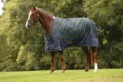 Saxon 1200D Standard Neck II Turnout Sheet (0g Lite + Gusset) - CLOSEOUT