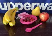 Tupperware Blossom Sambal Sauce Dip Dish 110ml/ 1/2cup w/ Hang-on Spoon Pink New