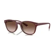 New Emporio Armani EA4225U 610113 Matte Bordeaux/Brown Gradient 53-20-145 Sun...