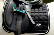 Black Satin / Patent-look Saddle Pad, Bonnet Boot Set - Dressage