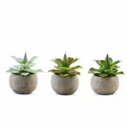 Set of 3 5" tall Assorted Artificial Faux Aloe Succulent Plants with Round Pots
