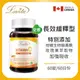 Lovita愛維他 長效緩釋型維他命C素食錠1000mg (維生素 玫瑰果 生物類黃酮 維他命P)-慈濟共善