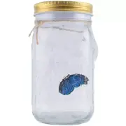 Butterfly Collection in A Jar, Butterfly Jar That Moves, LED Light Romantic4847