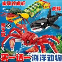 在飛比找蝦皮購物優惠-海洋積木 輪船 海洋動物玩具兼容樂高積木雀尾螳螂蝦海底世界生
