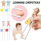 Eating Helper Training Chopsticks Learning Chopsticks Beginner Chopstick