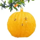 2Pcs Sticky Fruit Fly Traps Ball Funguse Gnat Killer Trap use for Indoor-Outdoor