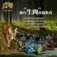 <六叔>【狂饗 WILD ISLANDS】紐西蘭 貓食品 貓飼料 無穀飼料 成貓飼料 高蛋白+低碳水 300克