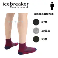 在飛比找momo購物網優惠-【Icebreaker】男 短筒薄毛圈健行襪- IB1051