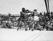 Max Baer And Dynamite Jackson 1935 Old Boxing Photo