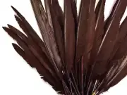1/4 Lb. Brown Goose Pointers Long Primary Wing Wholesale Feather Halloween Craft