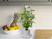 Leafy Indoor LED Desktop Aerogarden Hydroponics & Grow Light System