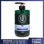 【清淨海】凱特的秘密 茶花控油平衡洗髮精730ML (超取限購5罐)