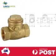 Brass Swing Check Valve for Wastewater Application