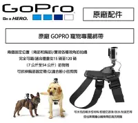 在飛比找Yahoo!奇摩拍賣優惠-【eYe攝影】GoPro 專用配件 ADOGM-001 Do