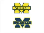 (2) University Of Michigan Wolverine 1 Blue & 1 Yellow Corn Hole Decal 9" x 14"