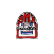 Laguna - 100 Chrome Head tube decal - old school bmx