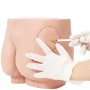 Human Adult Hip Injection Training Model Reusable Manikin Teaching Anatomical