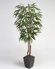 D&W Silks, Inc 6Ft Weeping Ficus Tree in Square Metal Planter