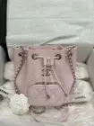 22P Chanel Small Business Affinity Rose Clair Pink GHW Drawstring Buckle Bag
