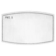 Zan® Replacement PM2.5 Filter 5-Pack