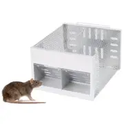 Efficient Double Door Mouse Traps Reusable Mouse Catcher