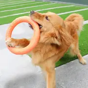 Dog Toys Pet Flying Disk Training Toy Interactive Training Ring Puller Resistant