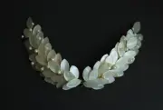 Resin hair comb with pearl