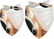 2 Pack Owner and Dog Bandana Set, Pet's Mom/Dad Bandana or Scarf Set, Family Matching Bandanas, Animal Akita Dog