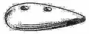 Camp Tear Drop Hull Zinc Anode Corrosion Resistant 3-1/2" x 1/2" x 1.75" T20