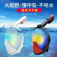 在飛比找蝦皮商城精選優惠-現賣 推薦 潛水鏡呼吸管套裝潛水裝備浮潛裝備面罩高清成人全幹