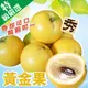 台灣嚴選黃金果 0運費【果農直配】台灣黃金果 金黃果 加蜜蛋黃果 蜜蛋黃果 黃星蘋果