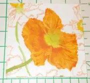 Two Decorative Cocktail Napkins for Decoupage "Poppy Field"