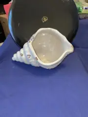 White Sea Shell Ceramic Pottery Planter. E 3