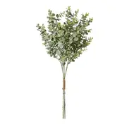 [Sleeping Giant] Eucalyptus Bundle Grey/Green - 64cm