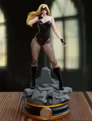 1/8 1/6 Black Canary 3D Print Garage Kit Figure Model Kit Unpainted Unassemble